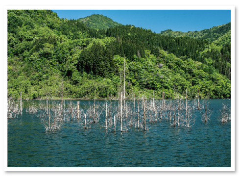 Tokuyama Dam