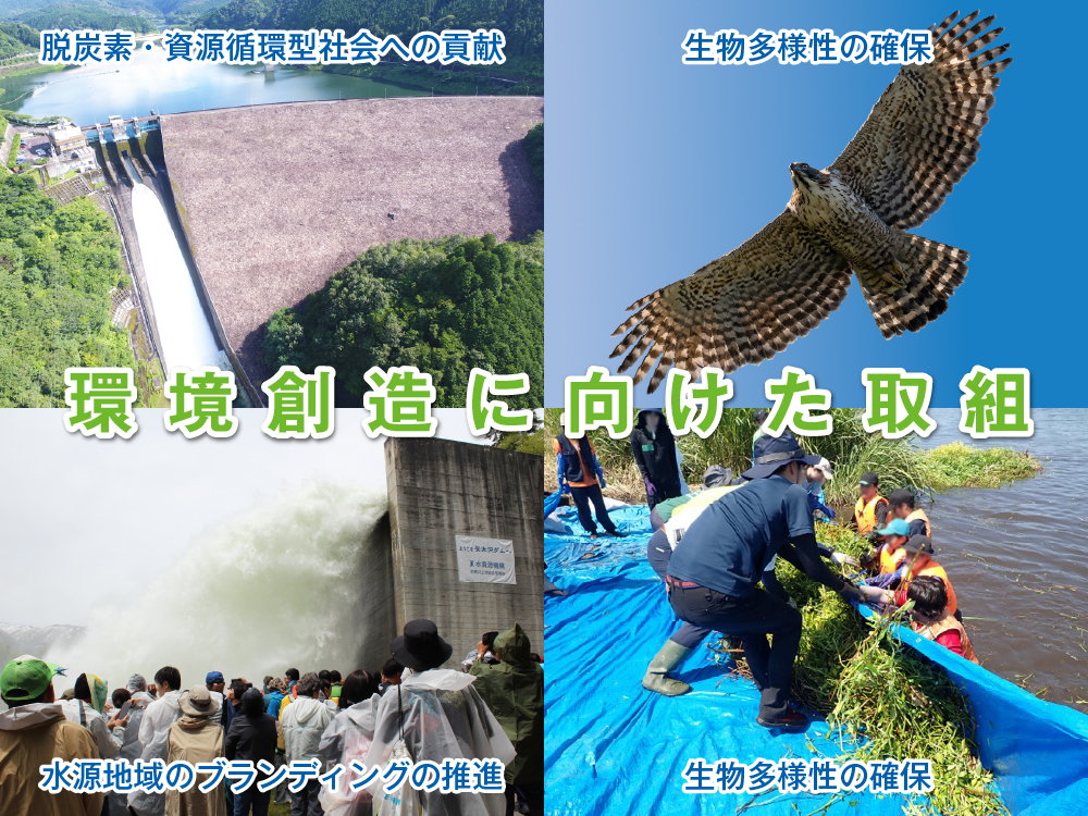 環境創造に向けた取組