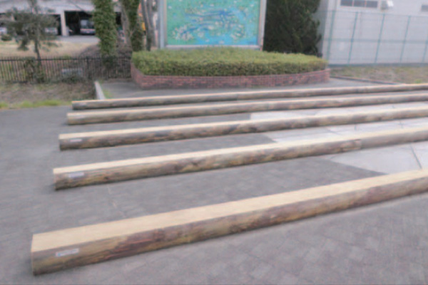 今回整備したベンチ