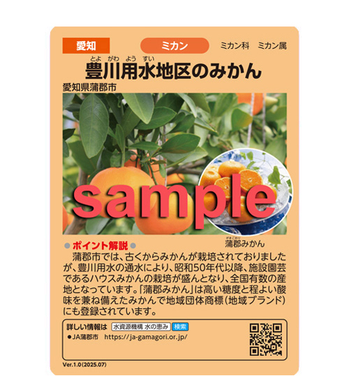水の恵みカード