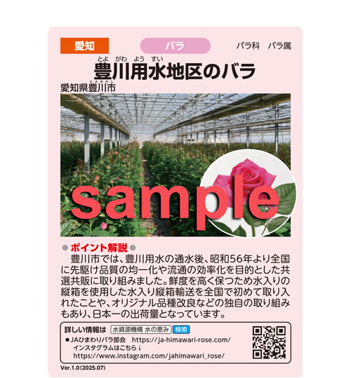 水の恵みカード
