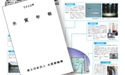水質年報