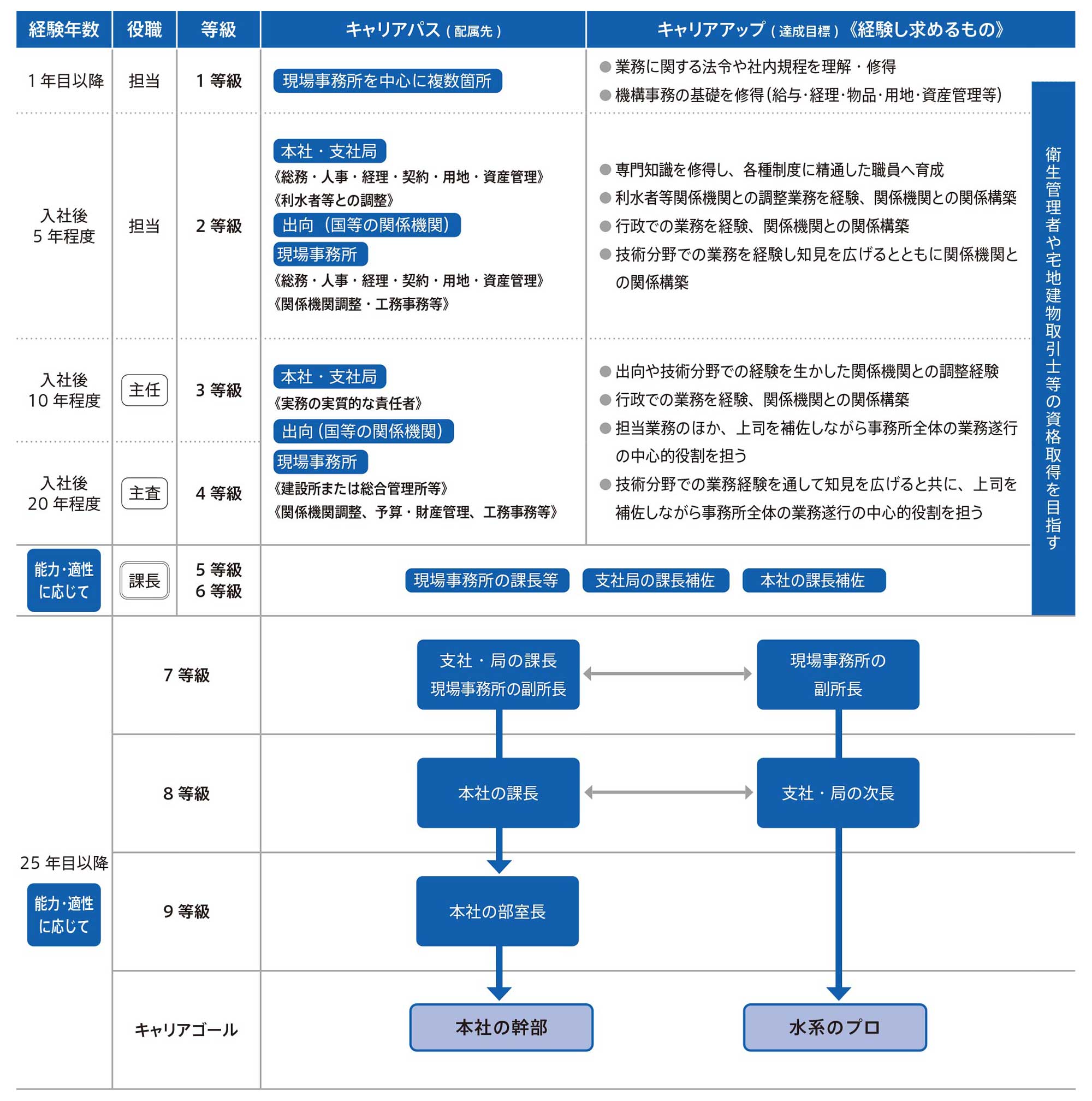 事務職のキャリアパス図