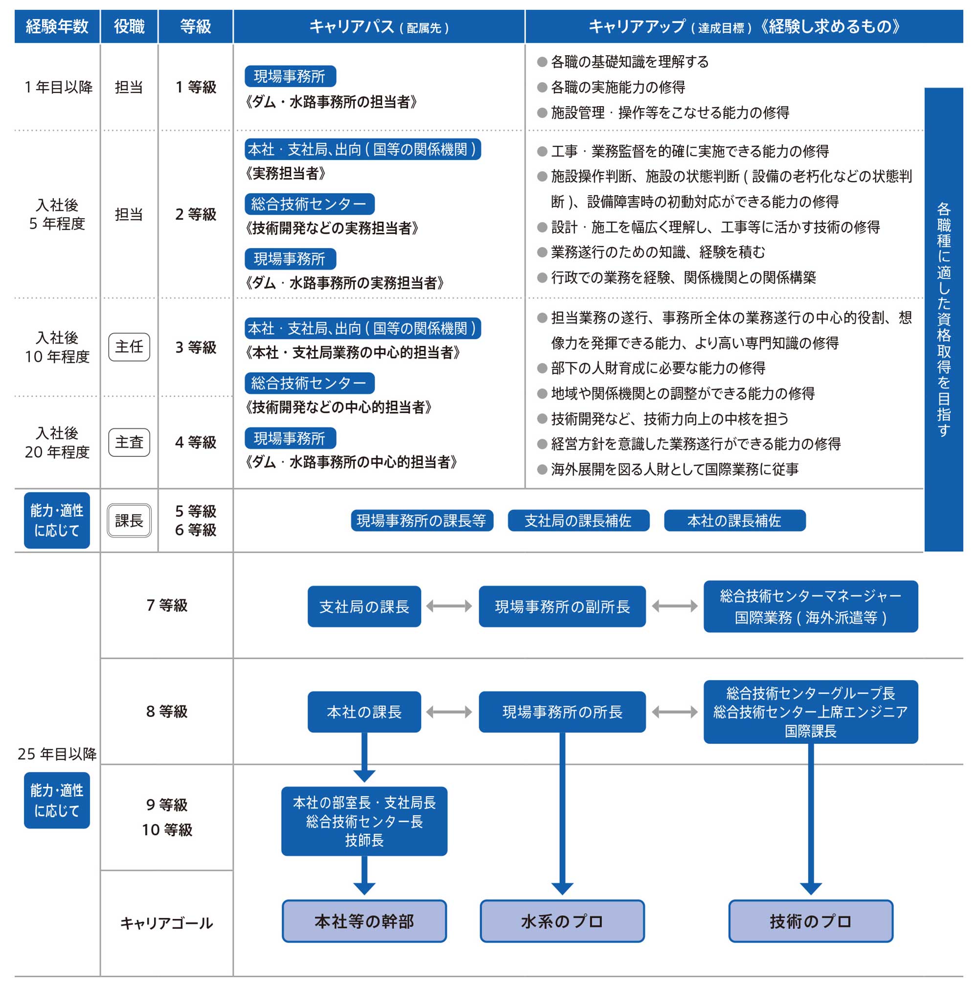 技術職のキャリアパス図