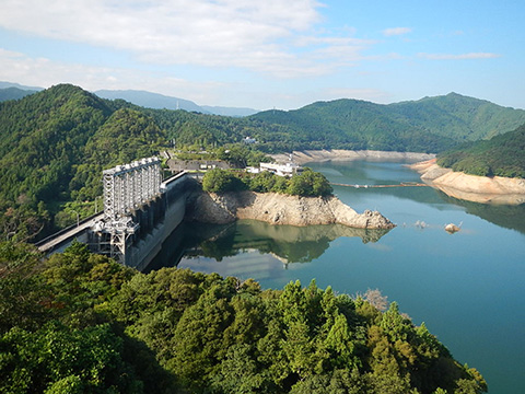 平成28年08月23日　43％