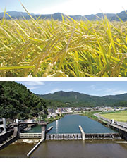両筑平野用水地区水の恵みカード詳細ページへ
