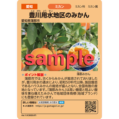 豊川用水地区水の恵みカードおもて面