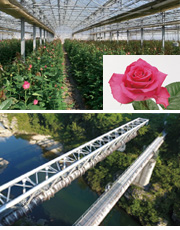 豊川用水地区水の恵みカード詳細ページへ