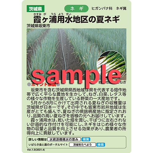 霞ヶ浦用水地区水の恵みカードおもて面