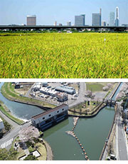 埼玉合口二期地区水の恵みカード詳細ページへ