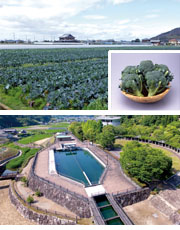吉野川水系水の恵みカード詳細ページへ