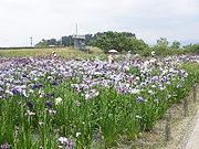 琵琶湖（滋賀県）