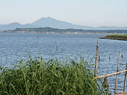 霞ヶ浦（茨城県）