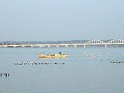 霞ヶ浦（茨城県）