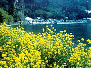 琵琶湖（滋賀県）