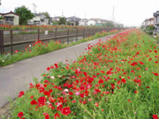 葛西用水路（埼玉県）