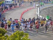 菰野町駅伝大会（三重県）