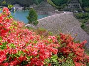 味噌川ダム（長野県）