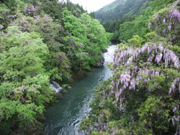 夏（岐阜県）