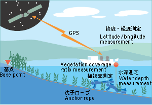 Survey points and investigation method