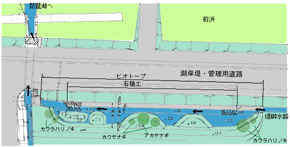 吉川ビオトープ平面図