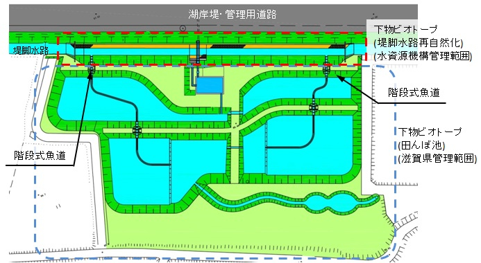 下物ビオトープ平面図