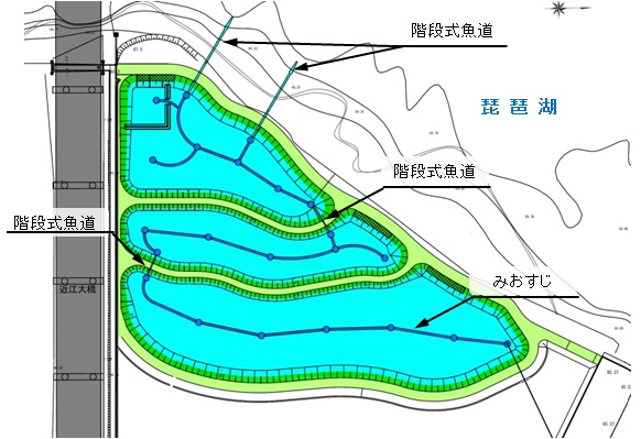 新浜ビオトープ平面図