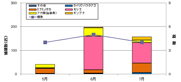 吉川ビオトープ　魚類捕獲調査結果