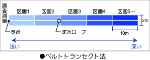 ベルトトランセクト法