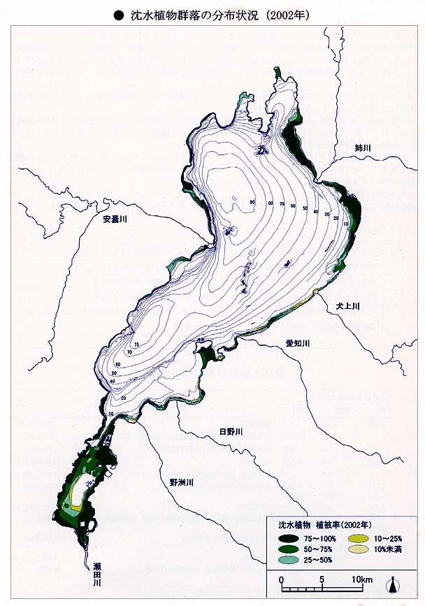 2002年沈水植物群落の分布状況の図