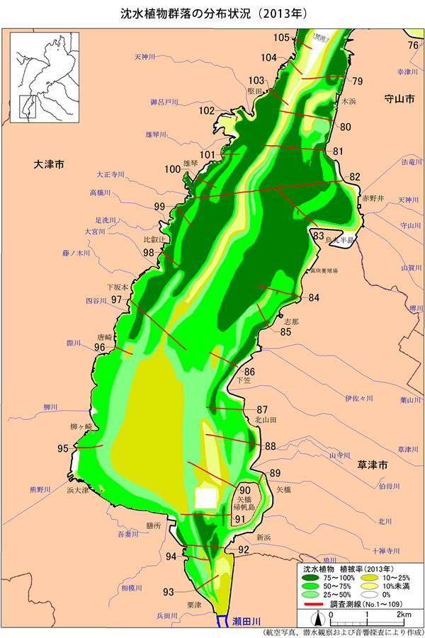 沈水植物群落の分布状況（2013年）