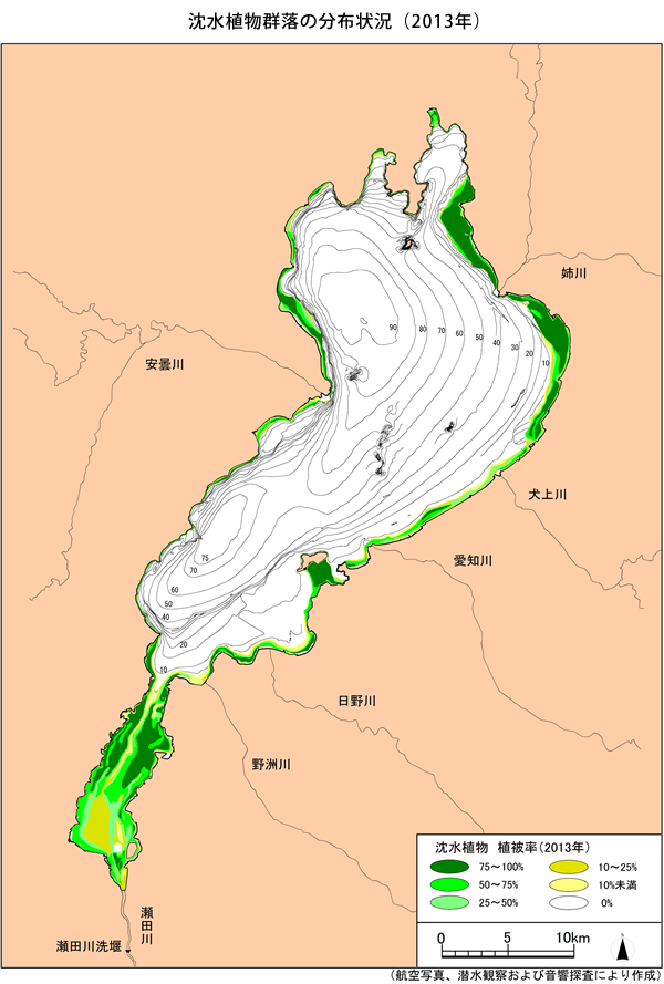 沈水植物群落の分布状況（2013年）