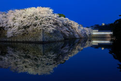 滋賀県立安土城考古博物館