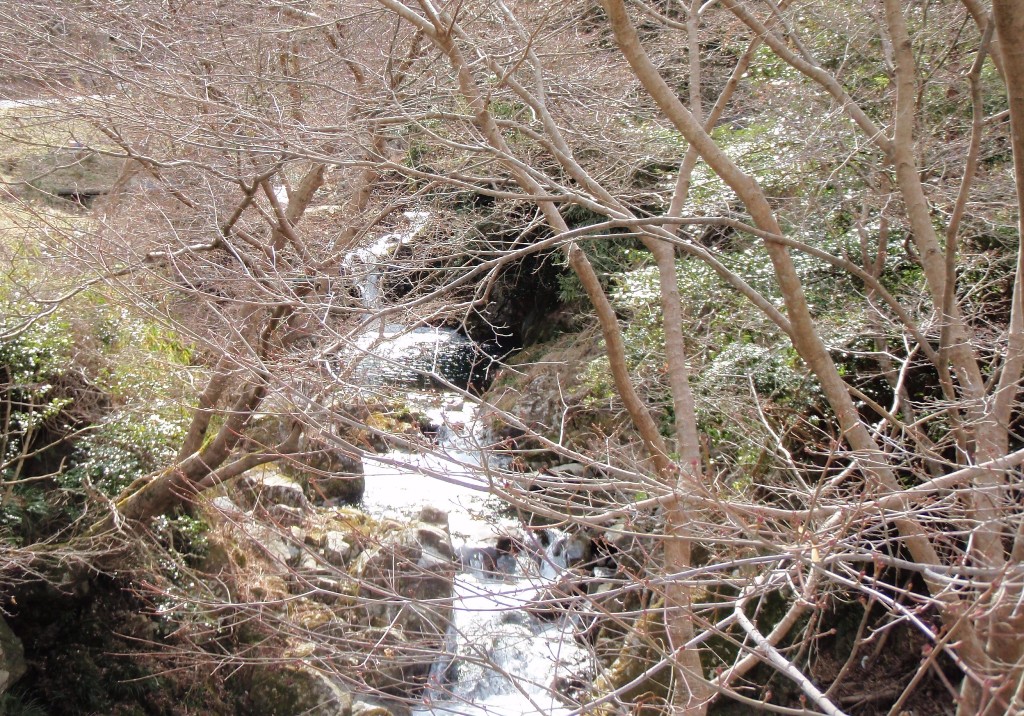 冬 黒渕の滝 前深瀬川
