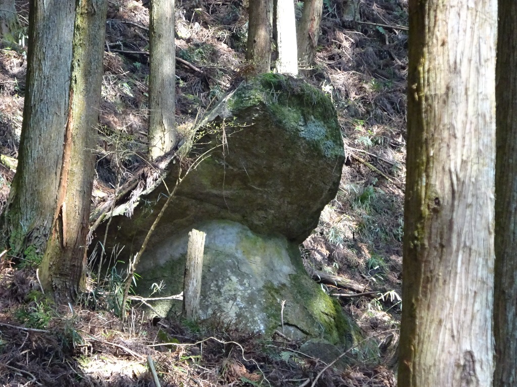 ダムサイト付近で見つけた奇岩「リーゼントロック〜永遠の番長〜」（命名ＴＯ）