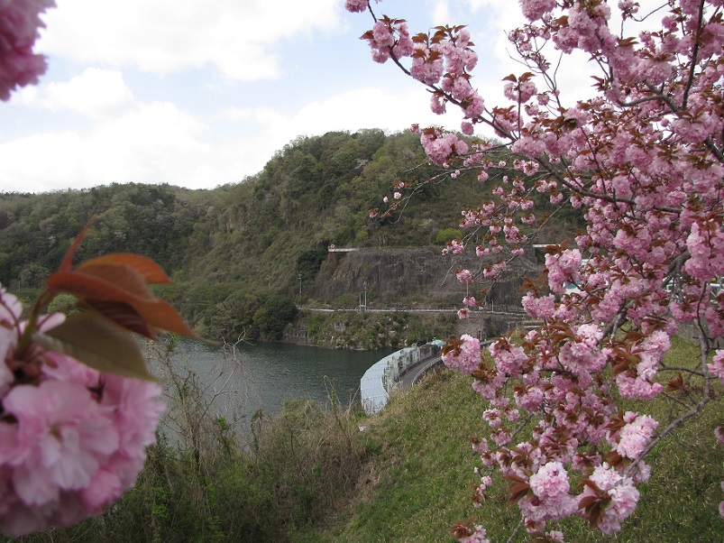 高山ダム