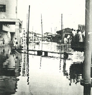 �W�F�[���䕗�̏P���̗l�q