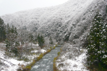雪化粧した高時川