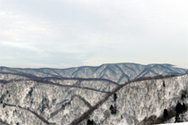 高時川上流域の山々