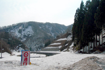 残雪90cm