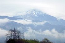 伊吹山