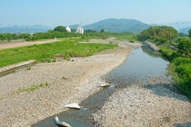 阿弥陀橋上流