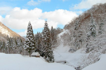 積雪120cm