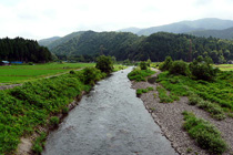 高時川大橋上流