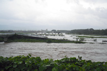 落合橋下流