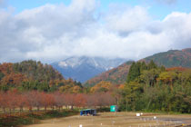 雪をかぶった横山岳