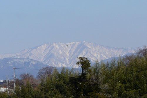 雪化粧の横山岳