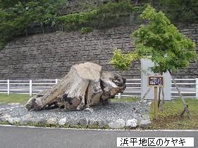 浜平望郷広場