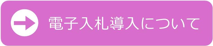�d�q���D�ɂ���