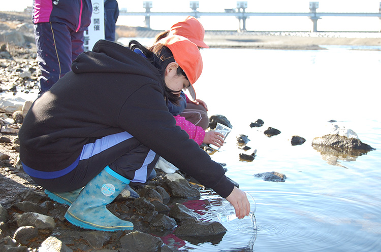 サケ稚魚の放流の様子